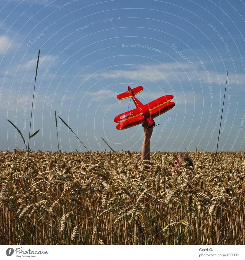 Flyer, greet me the sun Model aeroplane Cornfield Red Hand Concealed Invisible Camouflage Aircraft Propeller Upper body Wheat Cute Wheatfield Grass Dive