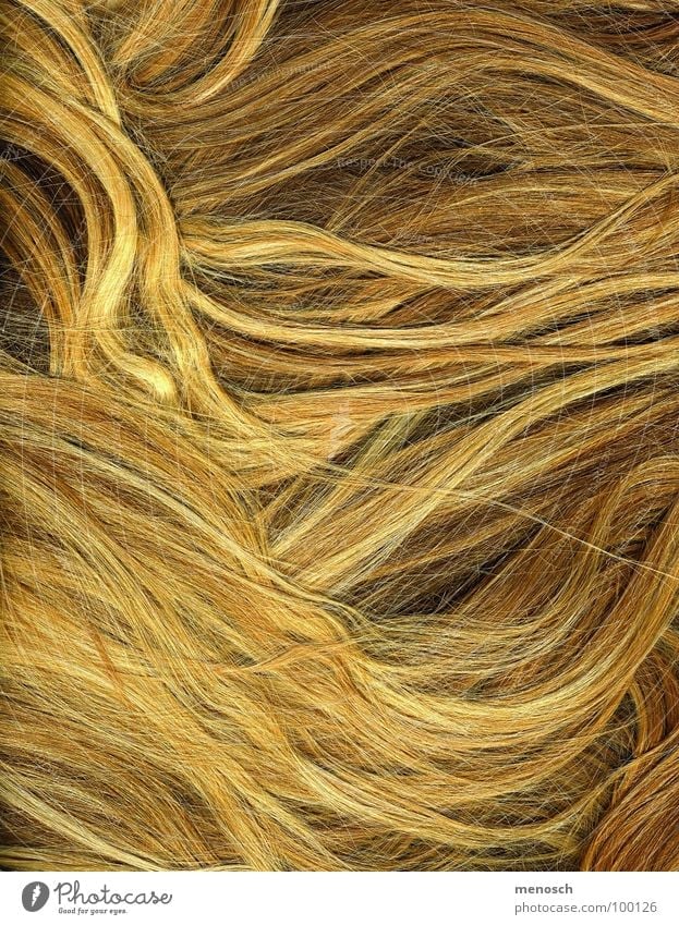 hair Straw Blonde Yellow Long-haired Beautiful Hair and hairstyles Gold Human being Line straw blonde Hairdresser Comb sun lines long hair cutter Wavy line
