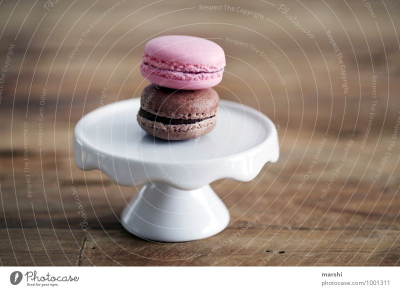 sweet duo Food Dessert Candy Chocolate Nutrition Eating Moody Food photograph Plate macarons Delicious Calorie Wooden table 2 Colour photo Interior shot