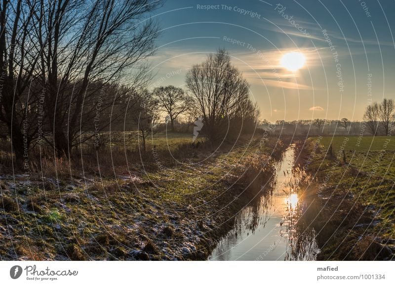 Back light without girls Environment Landscape Earth Water Sky Sun Winter Beautiful weather Tree Grass Bushes Field Brook Relaxation Blue Brown Yellow Green