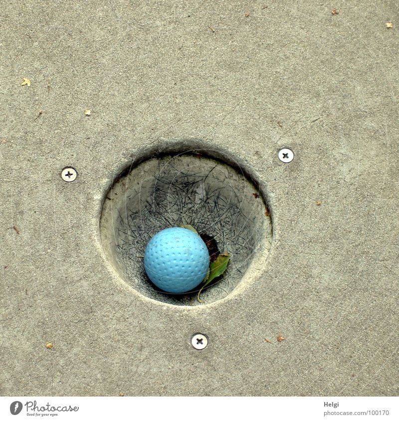 Minigolf ball holed on a minigolf course Mini golf Golf ball Playing Summer Gray Leisure and hobbies Round Sporting event Success Lose Loser Pastime Joy Ball