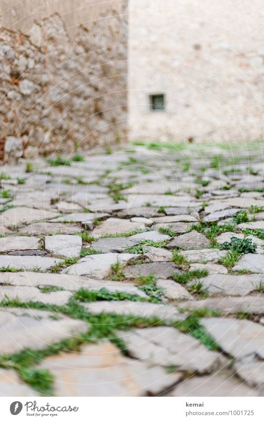 Stone by stone City trip Tuscany Italy Grass Town Old town Deserted House (Residential Structure) Manmade structures Building Wall (barrier) Wall (building)