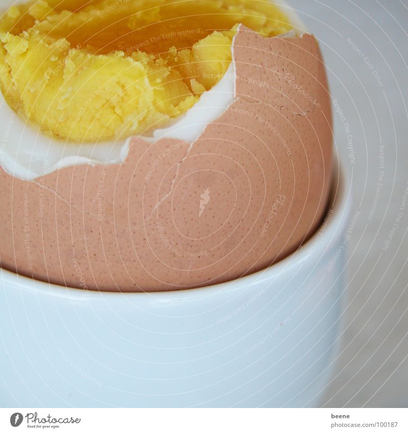 egg for breakfast Nutrition Breakfast Healthy Broken Brown Multicoloured Yellow White Yolk Eggshell Egg cup Barn fowl Albumin Colour photo Interior shot