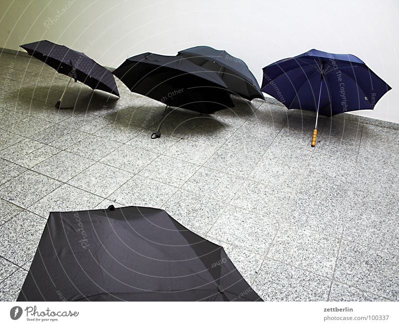 umbrellas Wet Drizzle Black Roof 8 Autumn Umbrella Rain Protection