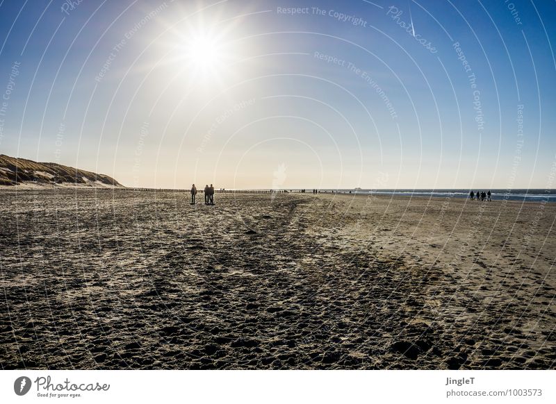 The Arrival Environment Nature Landscape Sand Sky Cloudless sky Sun Sunlight Winter Weather Beautiful weather Coast Beach North Sea Hiking Infinity Blue Brown