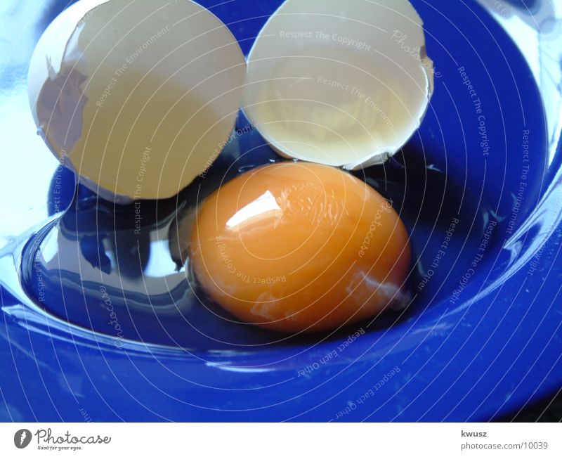 The egg Bowl Yellow Yolk Nutrition Egg Blue