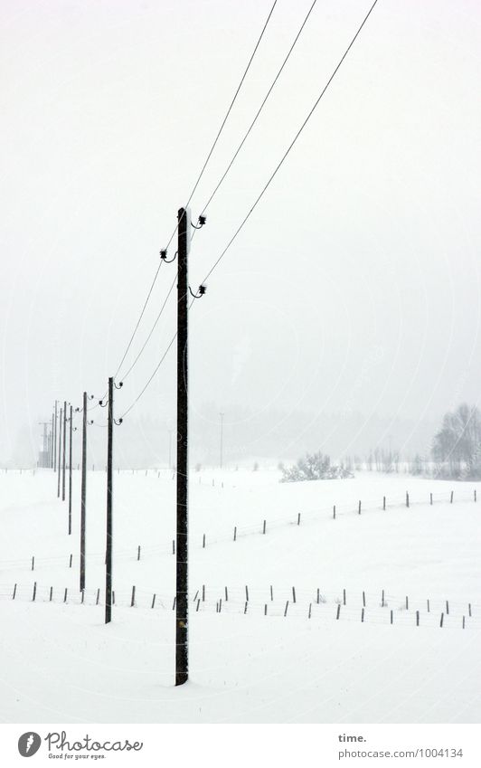 lines of survival Agriculture Forestry Energy industry Technology High voltage power line Cable Sky Winter Snow Fence Cold Sustainability Thin Safety Hope