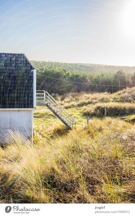 the rope Environment Nature Landscape Plant Sky Winter Beautiful weather Tree Grass Bushes Meadow Forest House (Residential Structure) Hut Manmade structures