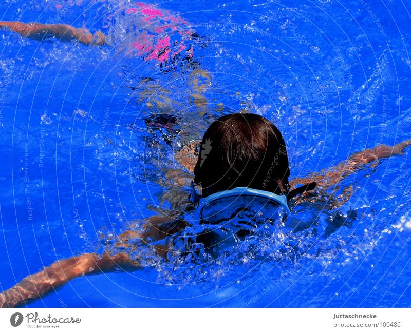 The Diver Swimming pool Summer Sports Playing Blue Juttas snail Joy pool fun