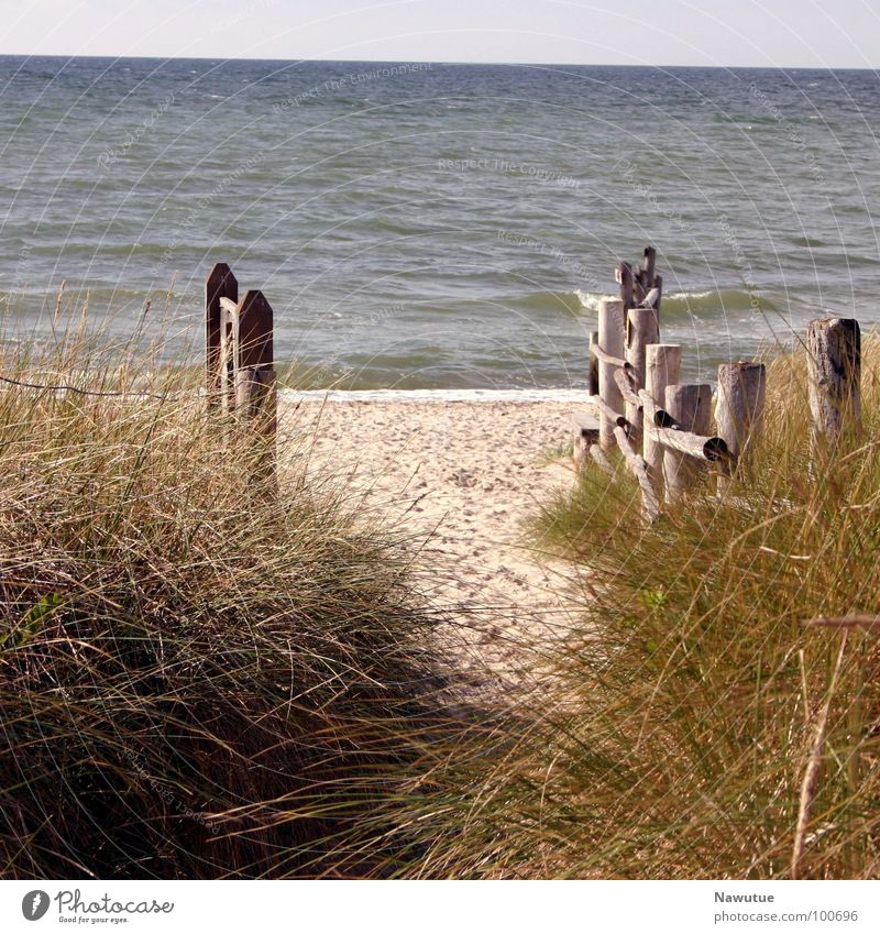 To the beach Beach Ocean Coast Calm Relaxation Baltic Sea Nature Lanes & trails
