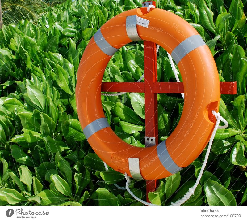 Beach Float II Summer Rope Bushes Green Help Rescue Midday Orange Circle Colour photo Multicoloured Useful Lifesaving Circular Safety