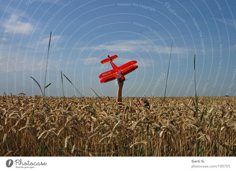 midair Airplane Model aeroplane Cornfield Red Hand Concealed Invisible Camouflage Aircraft Upper body Wheat Cute Wheatfield Grass Dive Model-making Span