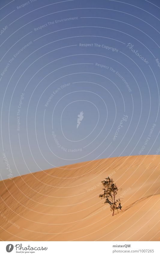 Survival artist II Art Esthetic Contentment Desert Desert plant Sand Dune Warmth Struggle for survival Survival training Survive Blue sky Summer Sahara
