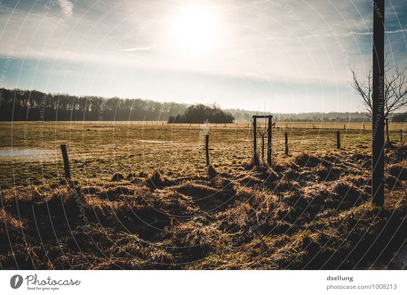 in the morning. Environment Nature Landscape Sky Clouds Sun Sunrise Sunset Sunlight Winter Beautiful weather Tree Field Healthy Cold Wet Natural Blue Brown