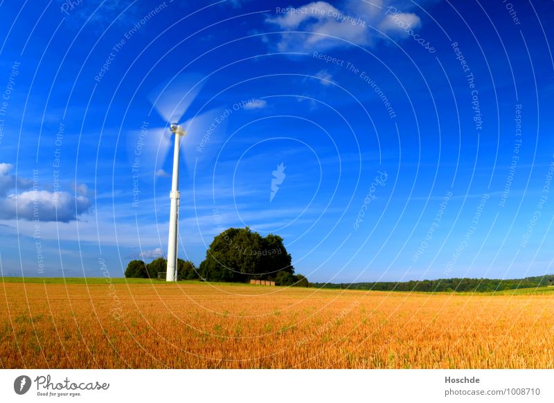 wind power Agriculture Forestry Industry Technology Advancement Future Energy industry Wind energy plant Landscape Clouds Horizon Sunlight Summer