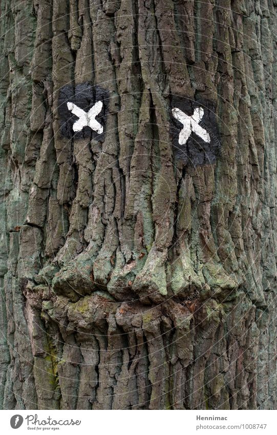 Good listener. Sculpture Nature Animal Tree Sign Signs and labeling Crucifix Old Brown Green Secrecy Friendship Mysterious Contact Creativity Tree bark