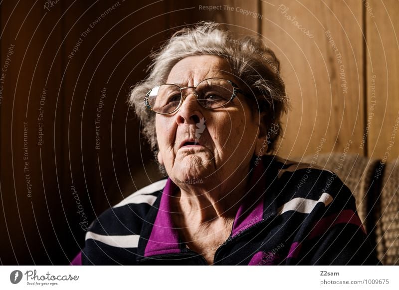 grandma Healthy Feminine Female senior Woman Grandmother 60 years and older Senior citizen Sweater Eyeglasses Gray-haired To talk Communicate Sit Old Brash
