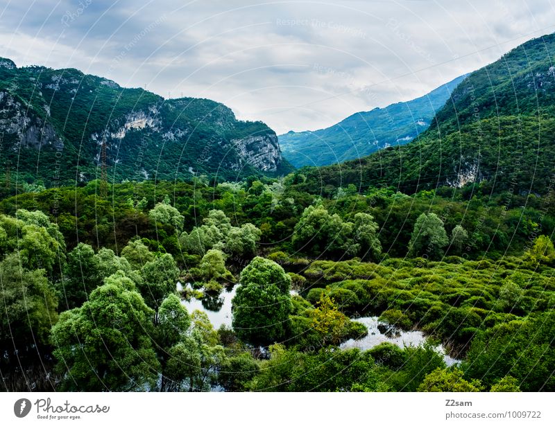 Biotope at Lake Garda Environment Nature Landscape Water Sky Clouds Bad weather Plant Tree Bushes Forest Alps Mountain River Habitat Exotic Fresh Healthy