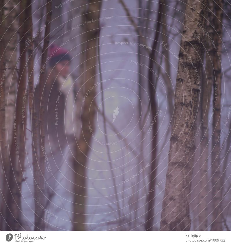 birch forest Child Girl 1 Human being 8 - 13 years Infancy Stand Birch tree Forest Fog Pink Snowfall White Cap Scarf Jacket Winter Fairy tale Colour photo