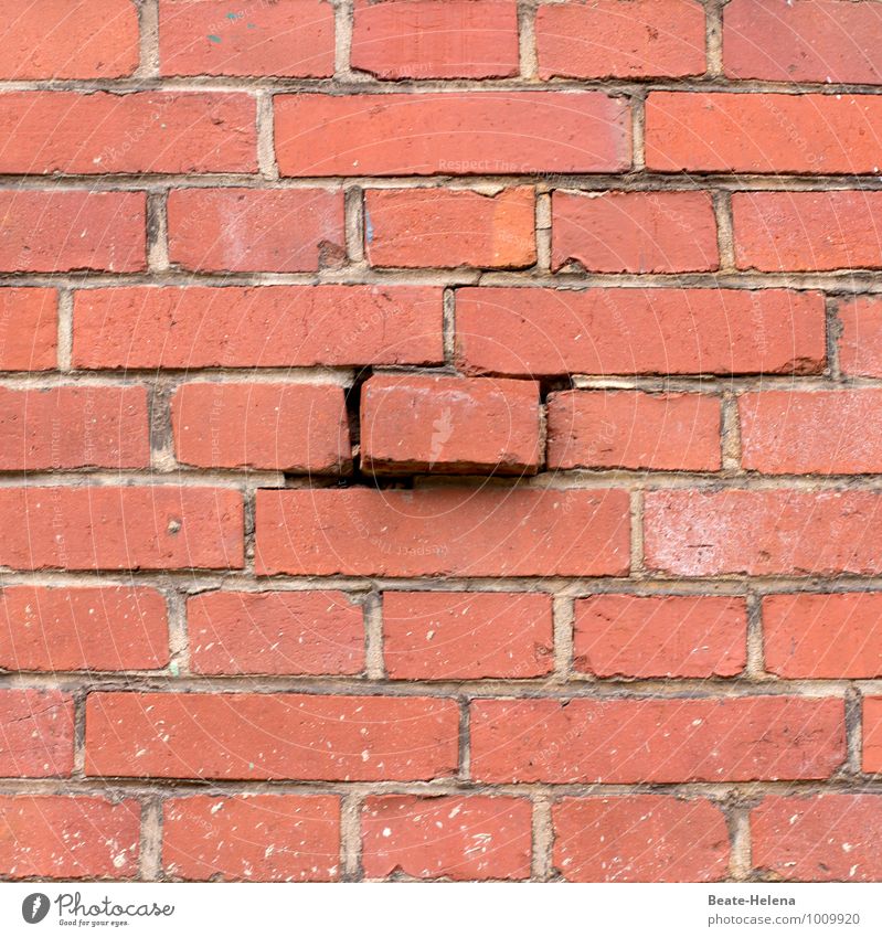 another brick in the wall Living or residing House building Redecorate House (Residential Structure) Manmade structures Wall (barrier) Wall (building) Brick
