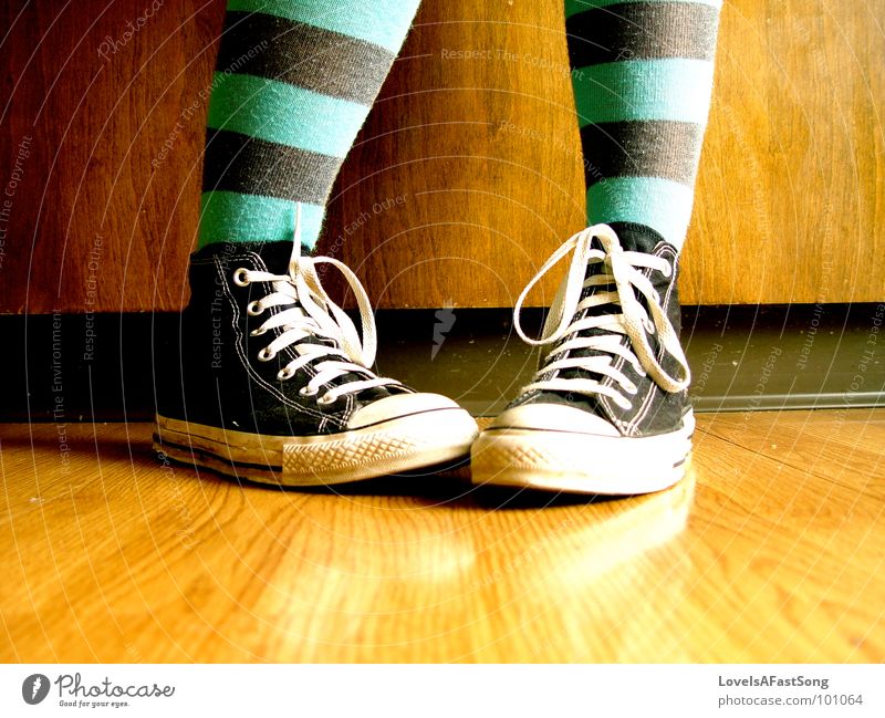 awkward shoes Wood flour Chucks Stripe Kitchen feet legs anklet brown symmetry calf Calves bright sunlight sunshine socks striped pigeon Sneakers
