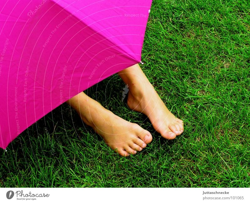 covert Pink Grass Green Human being Rain Safety Umbrella umbrellas Hide hidden Hiding place Feet foot Garden Mysterious rainy