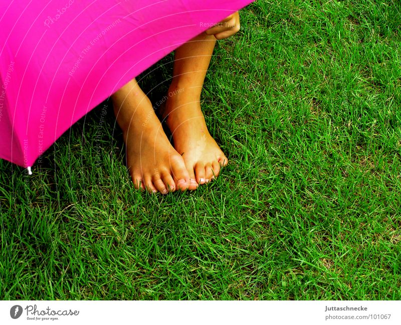 Hidden II Pink Grass Green Human being Rain Child Umbrella umbrellas Hide hidden Hiding place Feet foot Garden Mysterious rainy