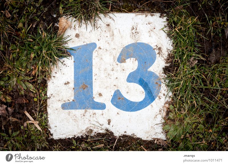 friday the 13. Meadow Digits and numbers Dirty Lucky number Popular belief Colour photo Exterior shot Close-up Deserted Day Bird's-eye view