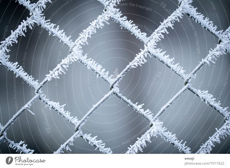 X Environment Nature Winter Ice Frost Snow Ice crystal Cold Blue Gray White Fence Colour photo Subdued colour Exterior shot Detail Pattern Structures and shapes
