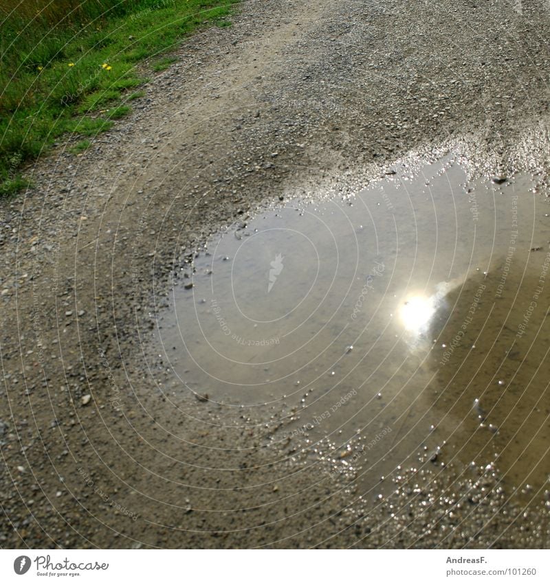 rain puddle on sidewalk