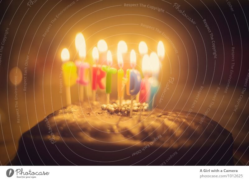to you Cake Eating Candle Congratulations Birthday Candlelight birthday candles Birthday cake Birthday wish Subdued colour Interior shot Detail Deserted