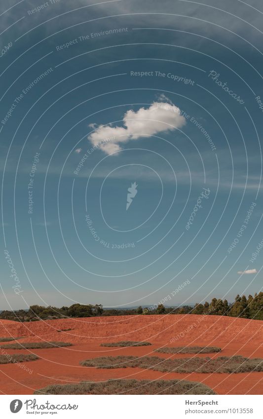 Lonely cloud Earth Sand Sky Clouds Summer Beautiful weather Warmth Drought Plant Tree Hill Desert Australia Deserted Small Dry Blue Red White Climate change