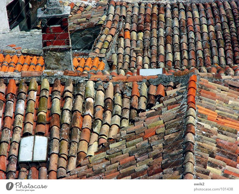Croatian roofs House (Residential Structure) Small Town Old town Populated Building Roof Chimney Simple Historic Above Many Red Idyll Roofing tile Skylight