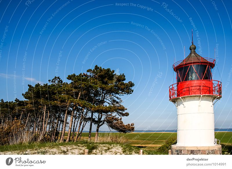 The less known lighthouse on Hiddensee Vacation & Travel Tourism Trip Adventure Far-off places Freedom Summer vacation Hiking Environment Nature Landscape Plant