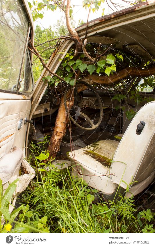 end of the road 5 Tree Grass Car Vintage car Old Broken Grief Senior citizen Esthetic End Nostalgia Environmental pollution Decline Transience Insurance