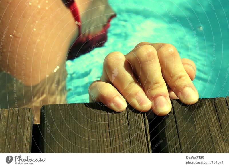 float on the edge Swimming pool Fingers Hand Summer Bikini Wood Wet Joy Water Swimming & Bathing