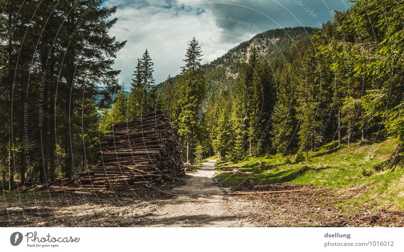 feel good. Environment Nature Landscape Plant Sky Clouds Summer Climate Beautiful weather Tree Forest Hill Rock Lanes & trails Relaxation To enjoy Hiking