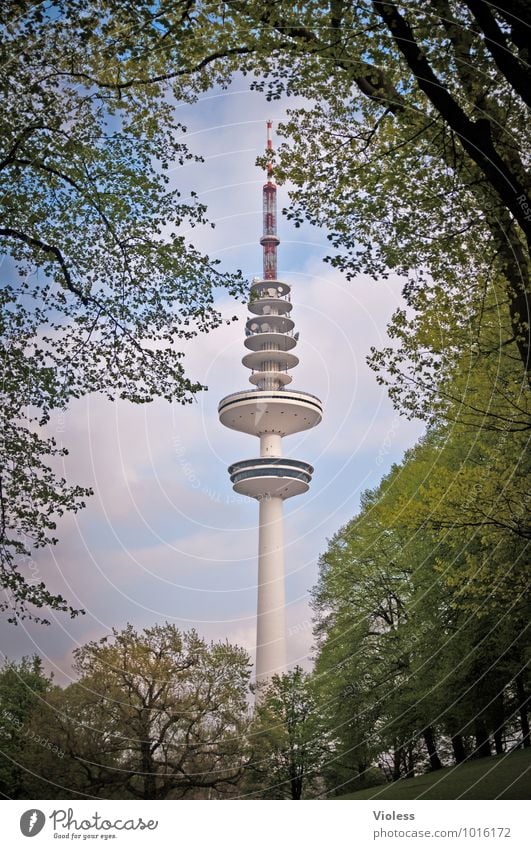 framing Port City Tower Manmade structures Building Architecture Tourist Attraction Landmark Monument Famousness Gigantic Green Berlin TV Tower Hamburg Deserted