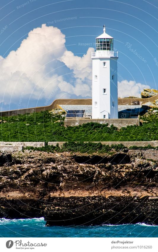 Lighthouse in Cornwall with clouds in portrait format Vacation & Travel Tourism Trip Adventure Far-off places Freedom Environment Nature Landscape Elements