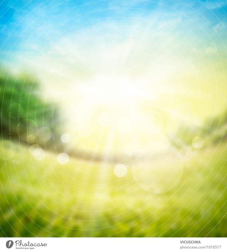 Blurred Nature Background With Sunlight A Royalty Free Stock Photo From Photocase