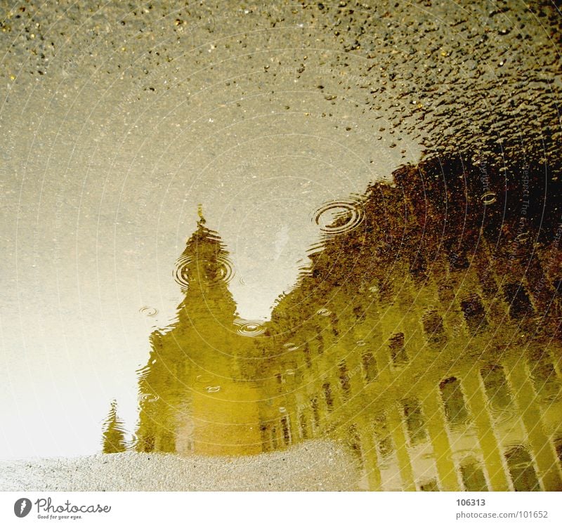 CURRENT WEATHER CONDITIONS Impression Reflection Puddle Asphalt Monument Dresden Landmark Tourist Art Manmade structures Monumental Sandstone Domed roof Organ