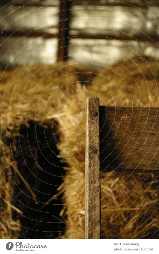 just sitting here Wood Straw Barn Wall (building) Calm Stay Thread Safety (feeling of) Situation Yellow Brown Wood flour Furniture Chair Old Relaxation Shadow