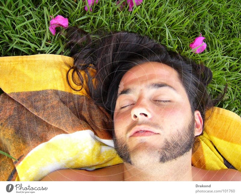 Morfeo 2 Nature Rose Peace Dream Man Flower Calm Loneliness Facial hair Human being flowers boils lawn tranquility beard Boil Rest (rest) Hair and hairstyles