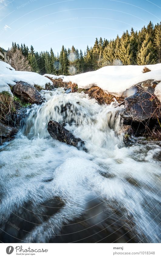 molten metal Life Nature Elements Water Sky Spring Winter Ice Frost Snow Waves Brook Mountain stream Snow melt water of life Fluid Healthy Cold Wet Natural