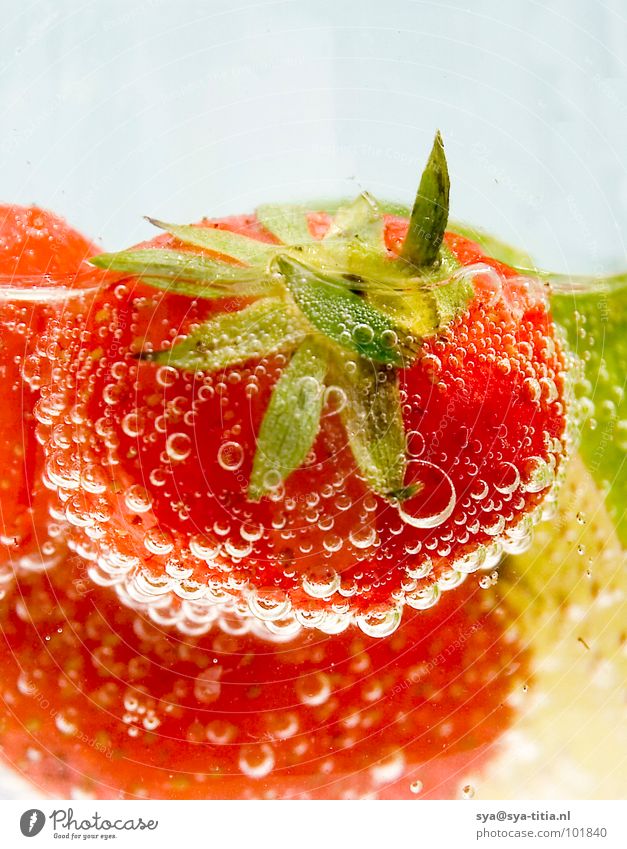 strawberry Red Fresh Summer Plant Beverage Fruit Nutrition Vegetarian diet Detail Strawberry Berries lemon Lime bubbles Water