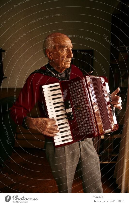 Mio nonno Music Accordion Grandfather Senior citizen acordeón fisarmónia música abuelo