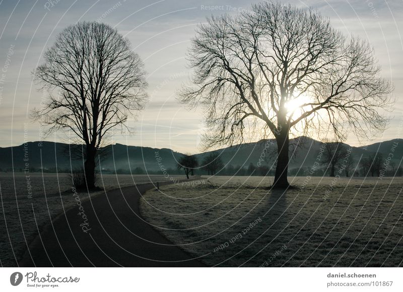 autumn morning Autumn Winter Direction Meadow Curved Tree Black Forest Hill Background picture Horizon Light blue Green Brown Field Footpath Sunrise Hoar frost