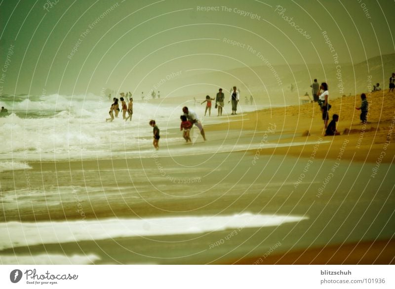 beachlife Beach Beach life Human being Waves Vacation & Travel France Ocean Emotions Foam Together Joy Summer Life peoples Group Fog Wild animal sea Water