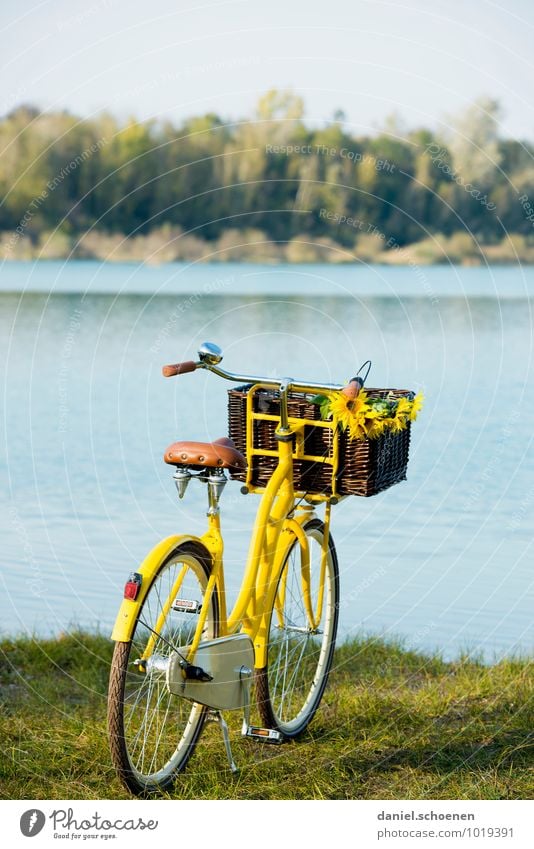 the postman is swimming Lifestyle Leisure and hobbies Trip Cycling tour Summer Nature Landscape Lakeside Bicycle Blue Yellow Joie de vivre (Vitality)