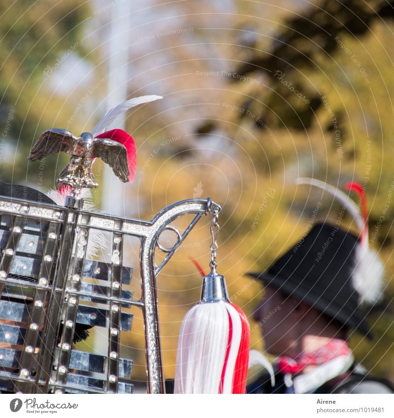 Homemade music. Feasts & Celebrations Fairs & Carnivals pageant Parade Human being Feminine Head Music Musician Glockenspiel metallophone Percussion instrument
